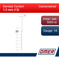 Dyckert 12/20 Galv 5M