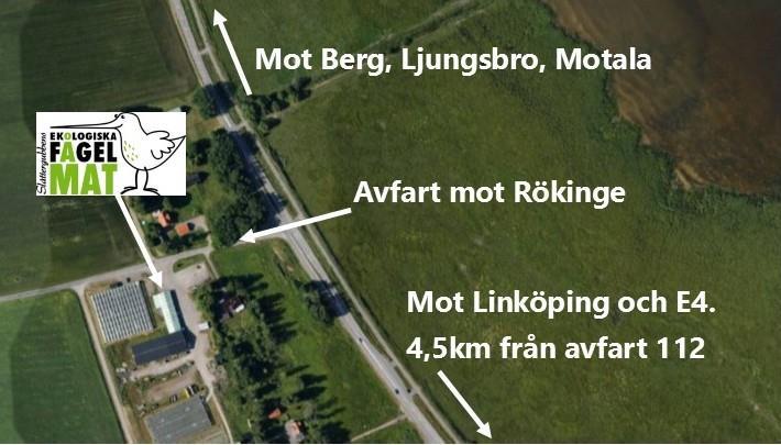 Fågelmat i Linköping - Slåttergubben