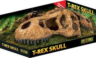 Kranium T-Rex