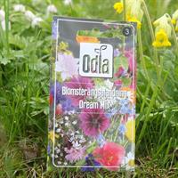 Blomsterängsblandning Dream mix - 2g. Odla