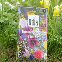 Flowering meadowmix.  Dream mix - 2g. Odla