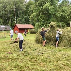 31 Juli - Ingaryds gård - Jönköping - Småland