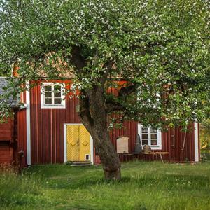 12 Juni - Stensjö By - Oskarshamn - Småland