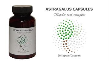 Astragalus Capsules