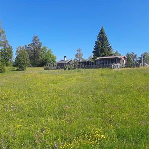 23 Juli - Skinnaråsen - Leksand - Dalarna