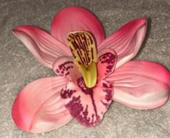 Hårblomma Orkidé  Rosa