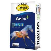 Havens Gastro 20 kg +