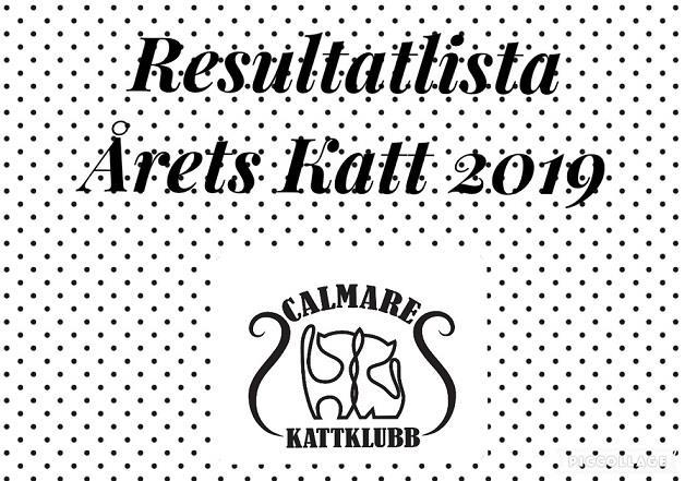 Årets CK-katter 2019