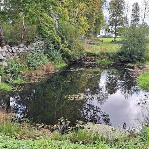04 Augusti - Vallda Kyrkpark - Kungsbacka - Halland