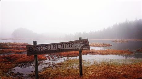 Stolpejakten igang rundt Lunderseter