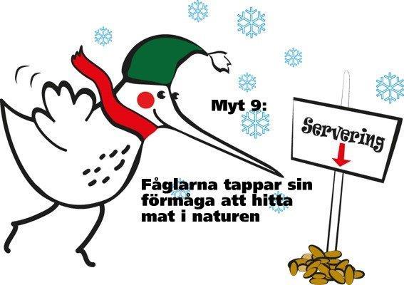 En bortskämd fågel får mat året runt