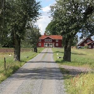 04 Juni - Pratensis - Grimslöv- Småland