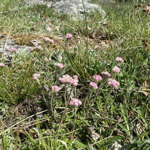 16 Juni - Lejden Märsta - Uppland
