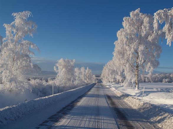 Vinterbilde langs Kisevegen