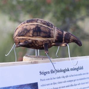  15 Juli - Bobrunna gård - Uppsala - Uppland
