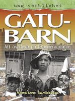 Gatubarn