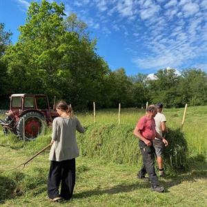 22 Juni - Osprey farm - Strängnäs - Södermanland