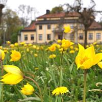 07 Juli - Långbro Gård - Stockholm - Södermanland
