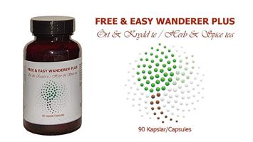 Free and Easy Wanderer Plus