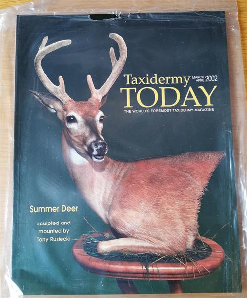 Taxidermy Today 2002