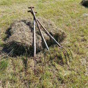 25 Juli - Tjörn - Bohuslän
