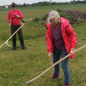 10 Juni - Himmelsberga - Runsten - Öland