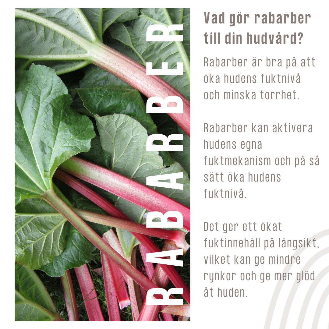 Naturfarm Rabarber