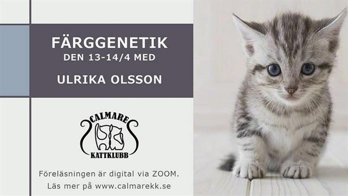 Digital föreläsning - färggenetik 13-14 april