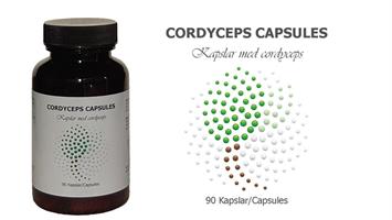 Cordycep Capsules