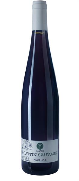 Pinot Noir Sauvage -20