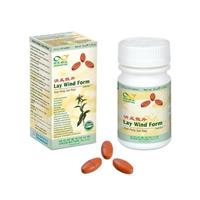 Xiao Feng San Pian (Lay Wind Form)