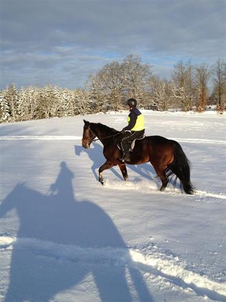 Snöpulsning. Supermin och Emma.