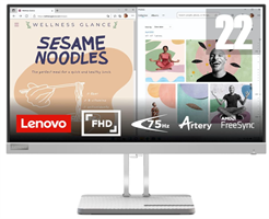 Lenovo L22e-40 21,5" 1920x1080