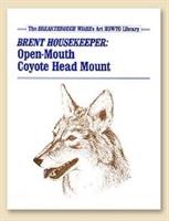 TBT Open Mouth Coyote Head Mount