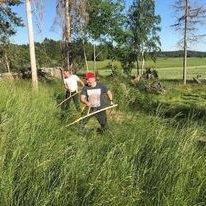  14 Juni - Rävbacken - Uppsala - Uppland