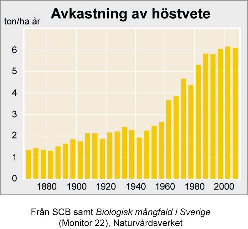 Tabell på avkastningen av höstvete