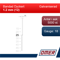 Dyckert 12/25 Galv 5M