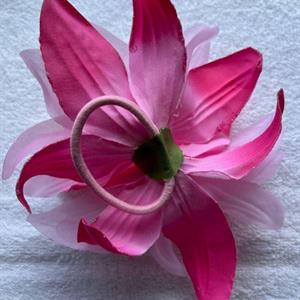 Hårsnodd Blomma Rosa