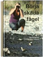 Börja skåda fågel