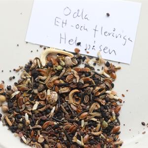 Blomsterängsblandning Ett o flerårig - 3g. Odla