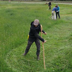 22 Juni - Osprey farm - Strängnäs - Södermanland