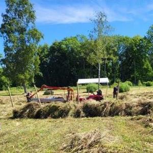 04 Augusti - Vallda Kyrkpark - Kungsbacka - Halland
