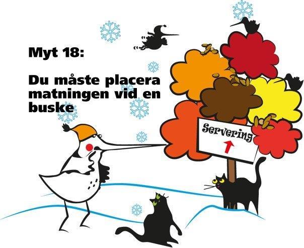 Myt 18: Du måste placera matningen vid en buske