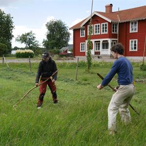 31 Maj - Levande landskap - Arkelstorp - Skåne