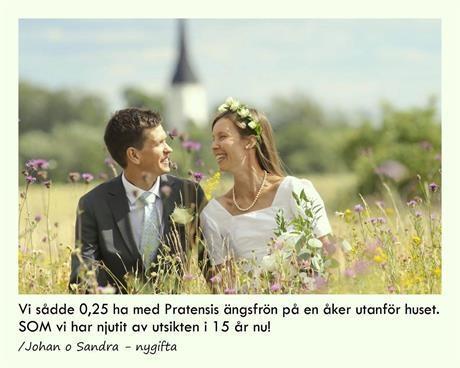 A couple on their wedding day in their created wildflower meadow