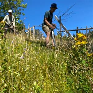 09 Juli - Svabensverk - Bingsjö - Dalarna/Hälsingland