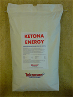 Ketona Energy 20 Kg Skr