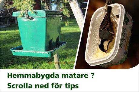 Bygga egen fågelmatare, tips för hemmabygda fågelbord