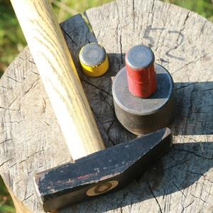 31 Maj - Levande landskap - Arkelstorp - Skåne