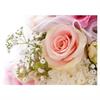 Kort Vikbara Pink rose and gypsophila 25/fp